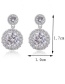 Fashion Rose Gold Round Shape Decorated Earrings